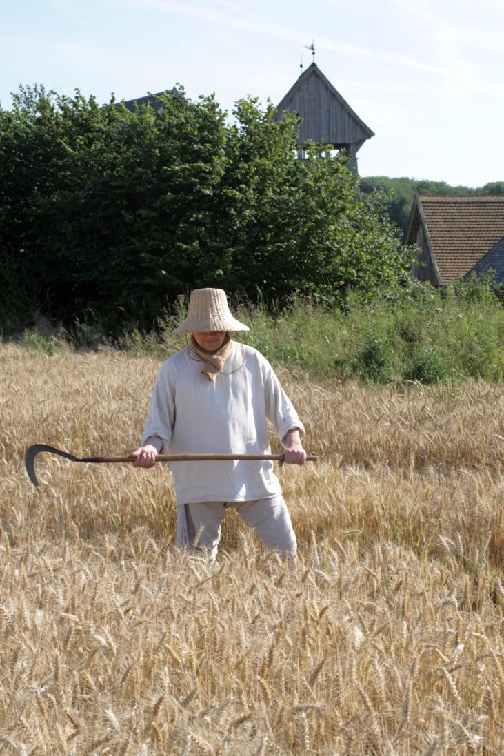 mittelalterlicher Erntearbeiter